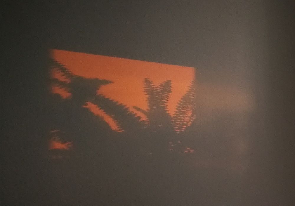 Photograph by Наталья Шалкевич