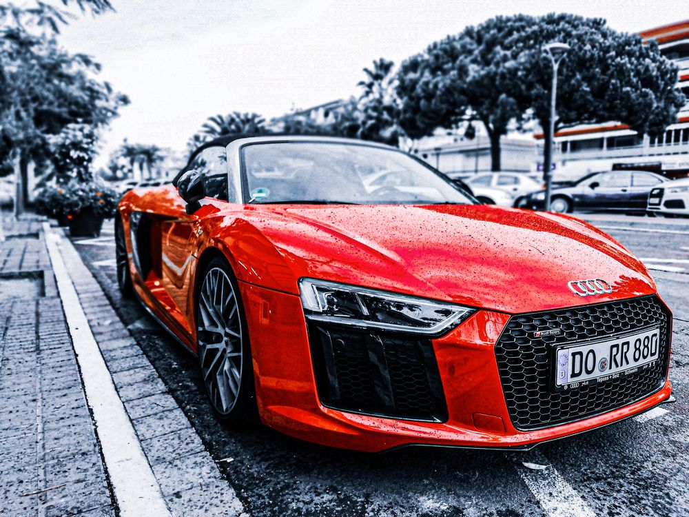 Photograph by Arthur Luck