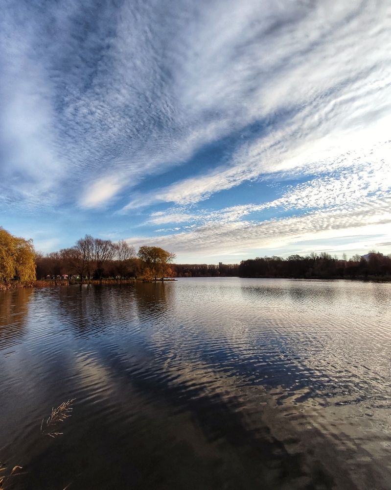 Ноябрьское солнышко
