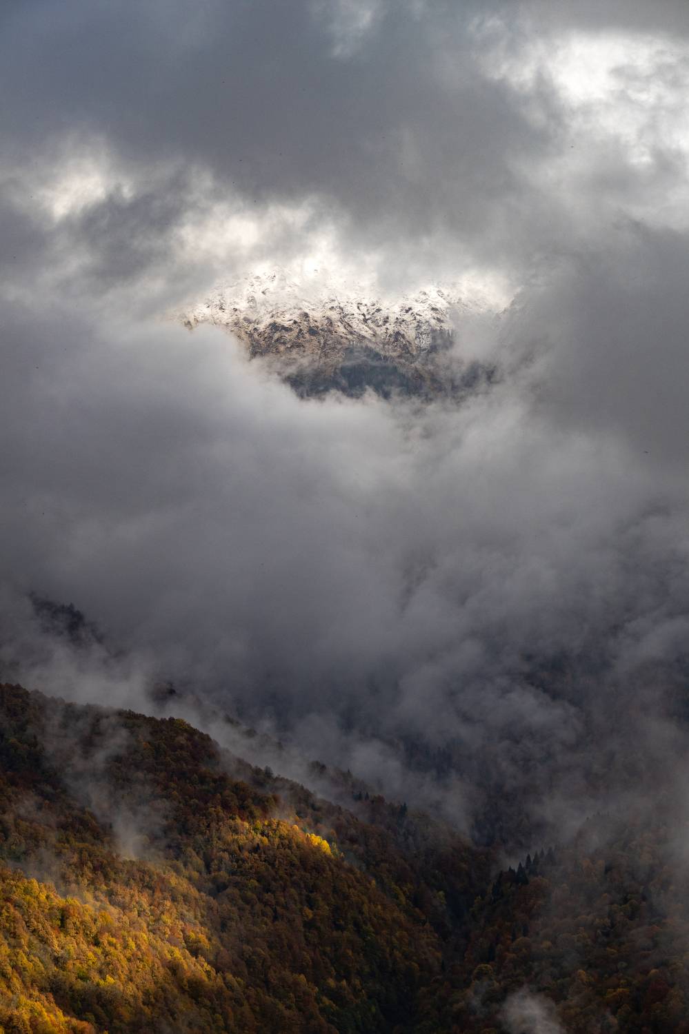 Photo #8344511