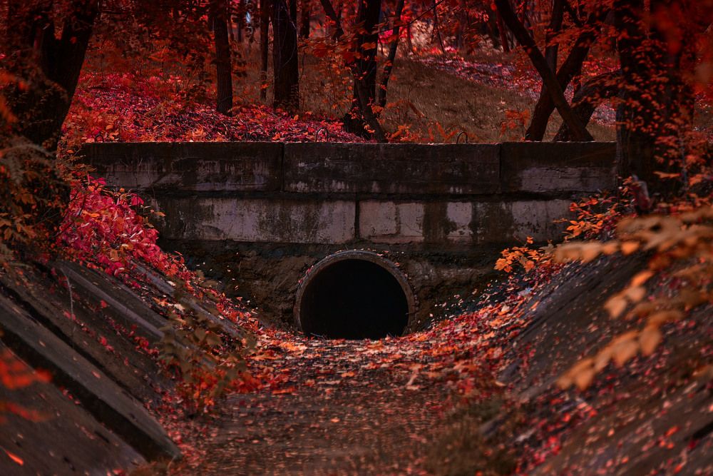 Photograph by Андрей Халемонец