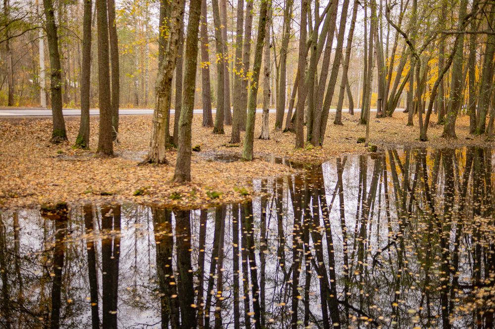 Photograph by Ekaterina Bogdasarova