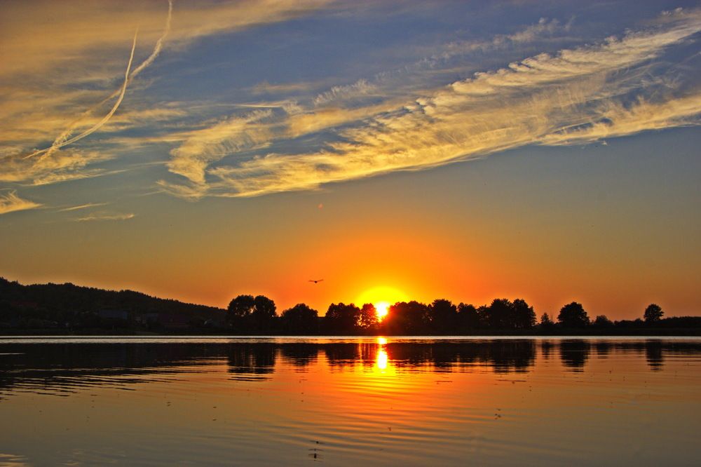 Photograph by 