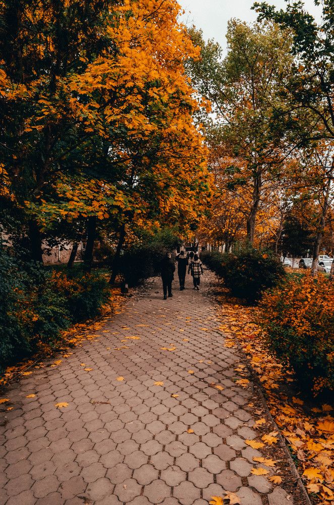 Photograph by Дмитрий Педченко