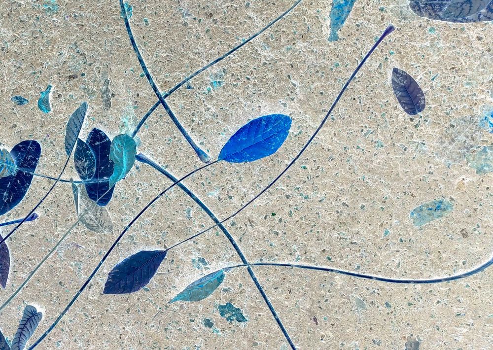 Photograph by Aleksandr Barsukov