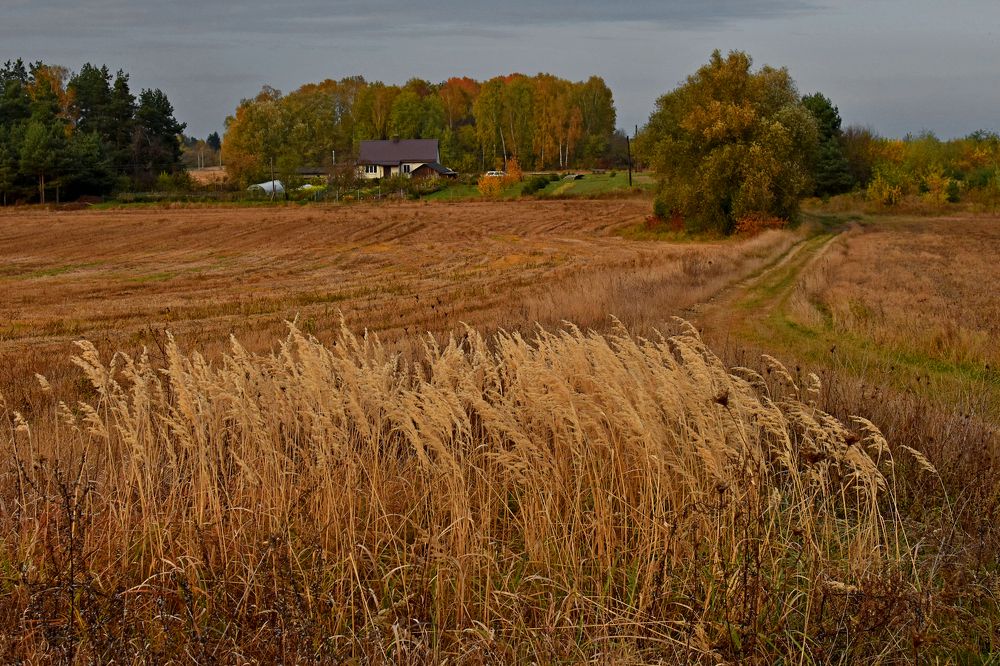 Photograph by Alexey Smal