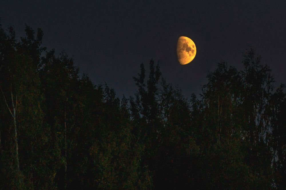 Photograph by Светлана Гонская