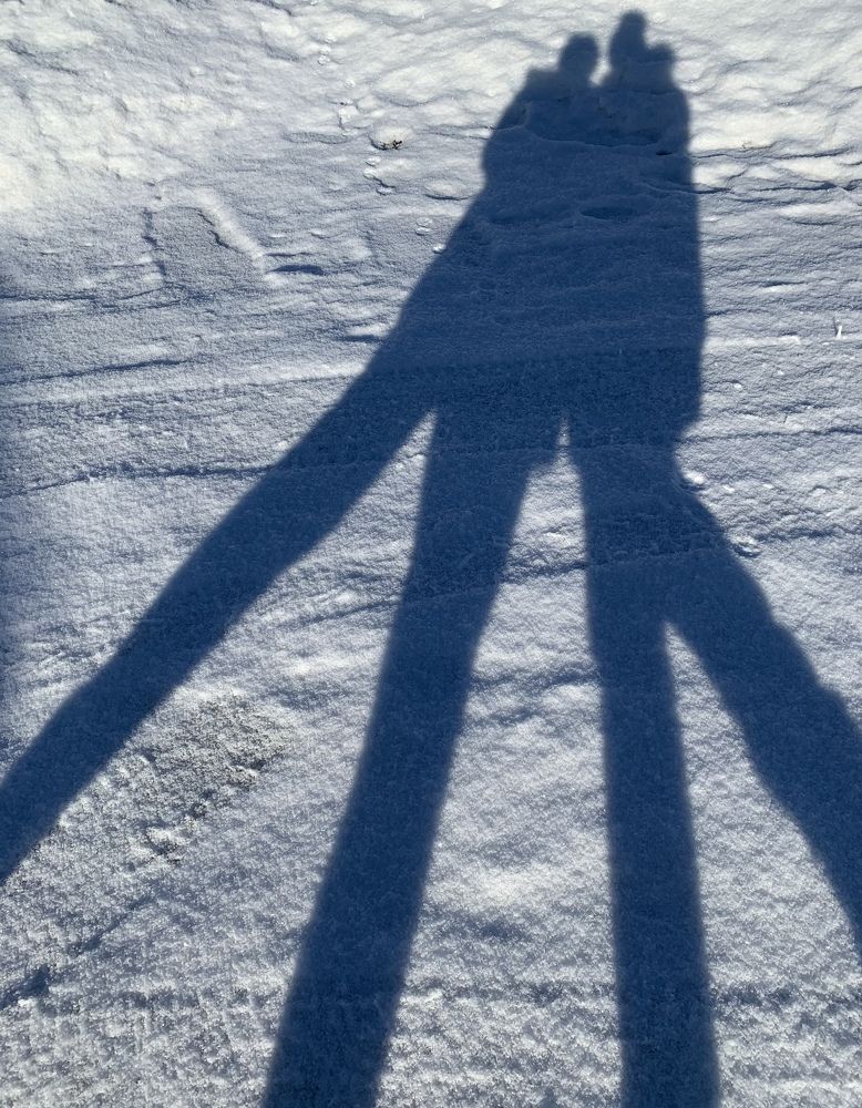 20 марта. Мороз и солнце.