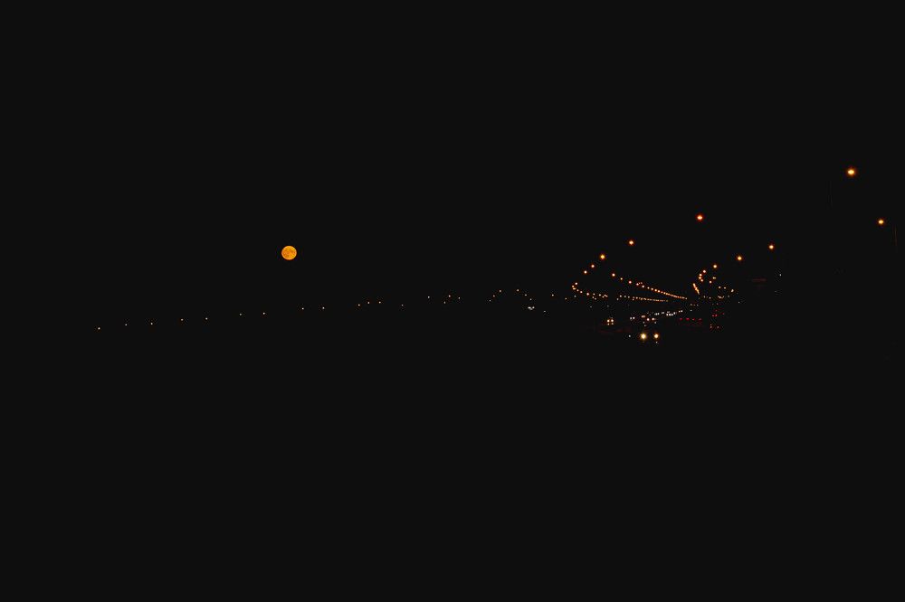 Photograph by Светлана Гонская