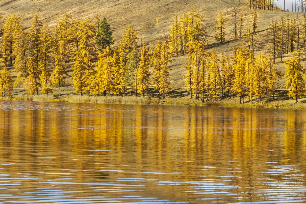 Фотография автора Лариса Корсакова