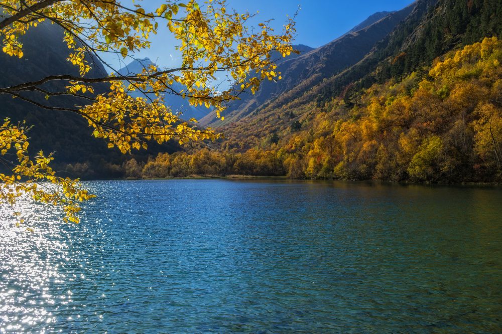 Photograph by Елена Ковалева