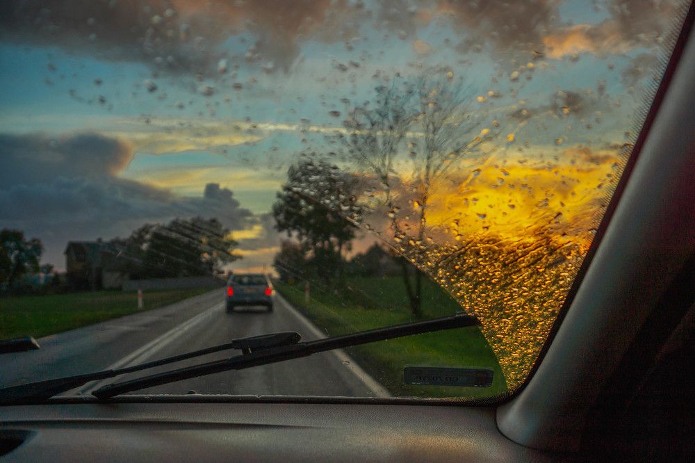 Photograph by Светлана Гонская