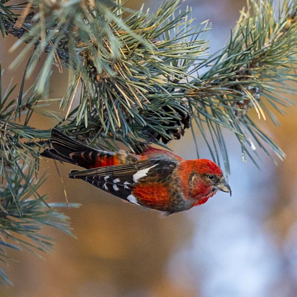 Photograph by Мария Овсечук