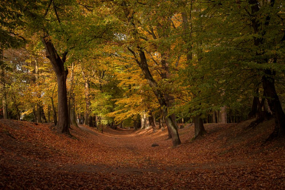 Осенняя пора! Очей очарованье!