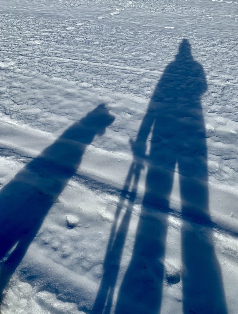 Тень в солнечный день.