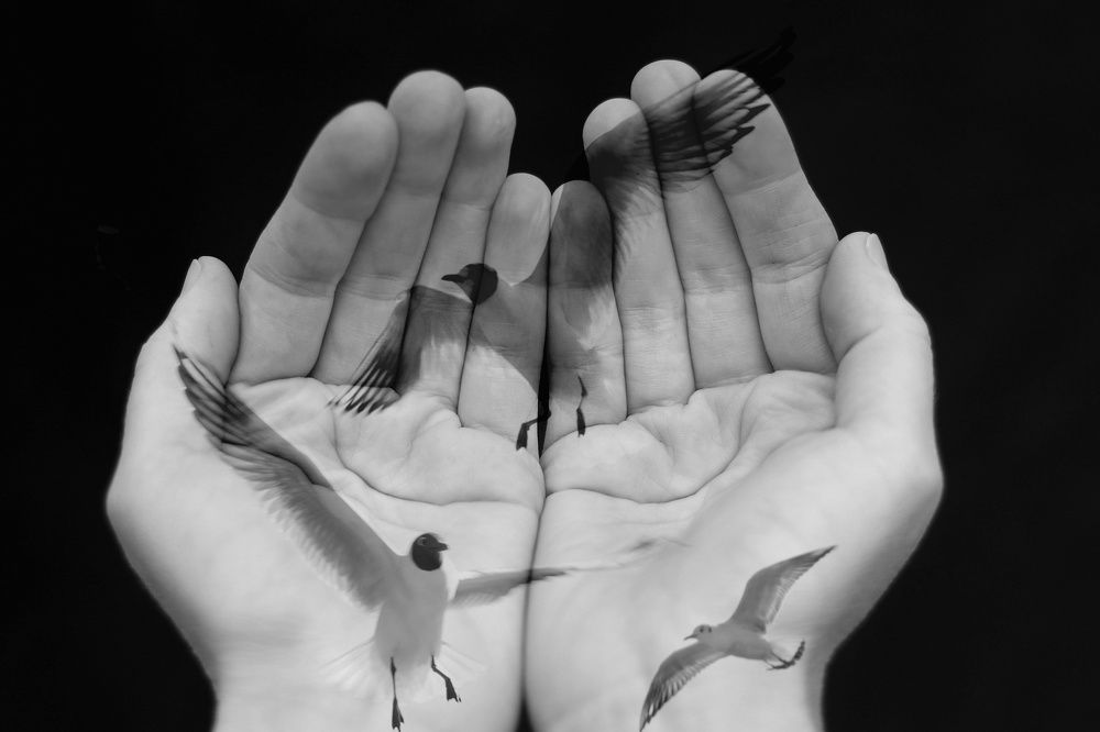 Фотография автора Елена Кириллова