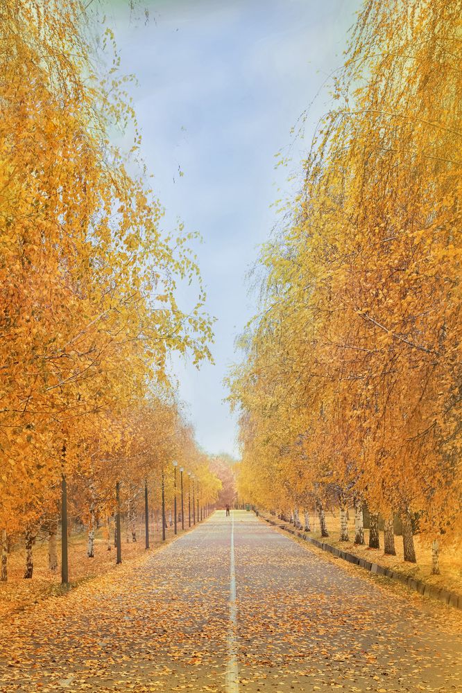 Photograph by Татьяна Колесникова