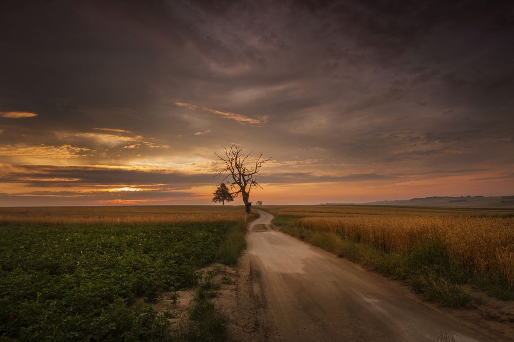 Biała Droga - Sułoszowa