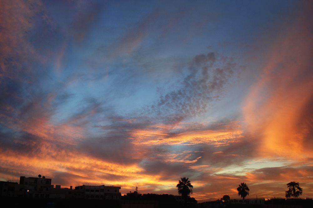 Photograph by Anastasiia Sergeeva