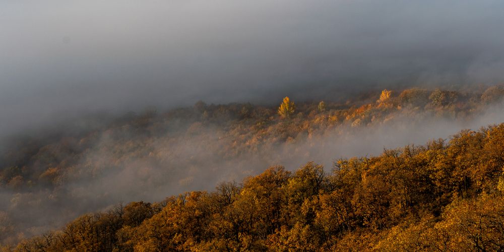 Photograph by Евгений Греков