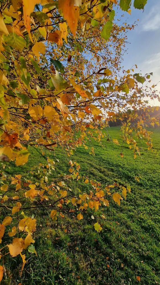 Photograph by Светлана Зелинская
