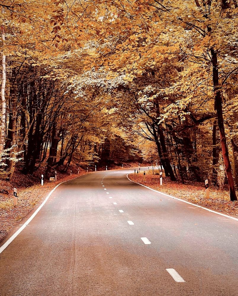 Photograph by Lena Linz