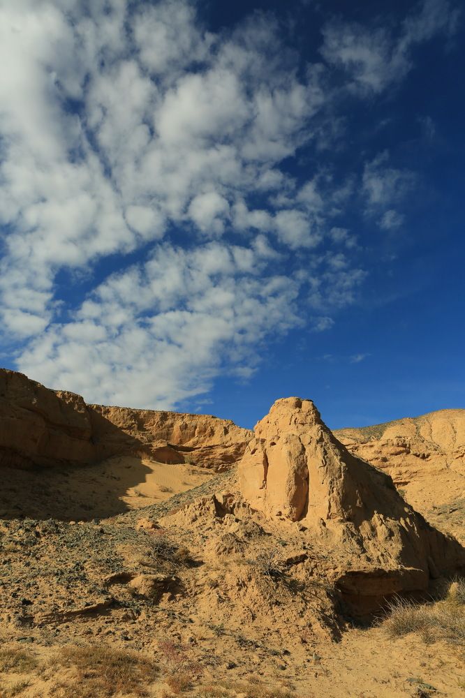 Photograph by Ирина Сушко