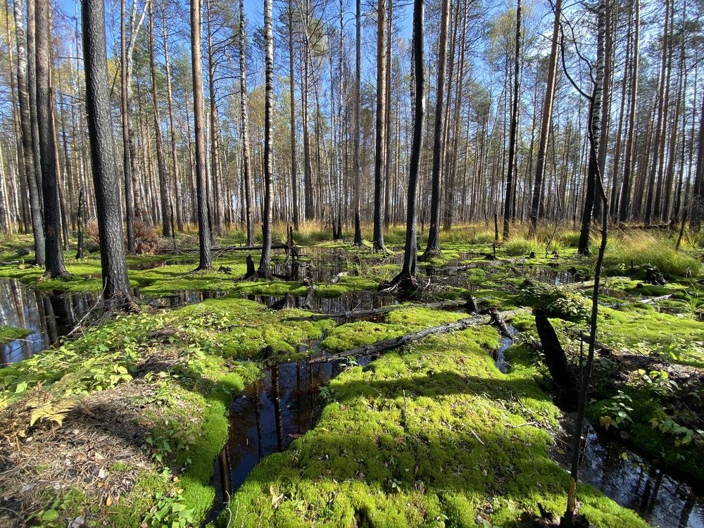 Photograph by Сергей Александрович