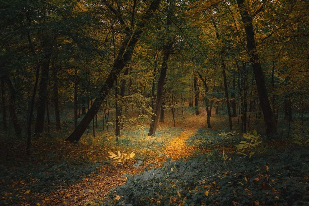 Фотография автора Justyna Jeżak