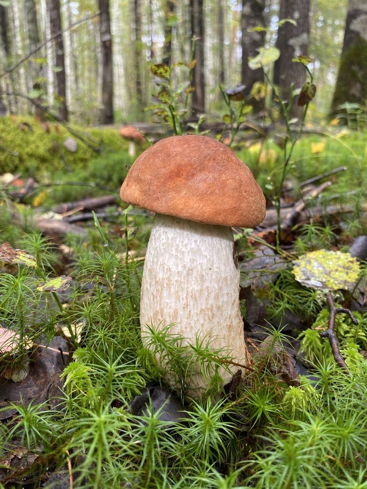 Photograph by Сергей Александрович