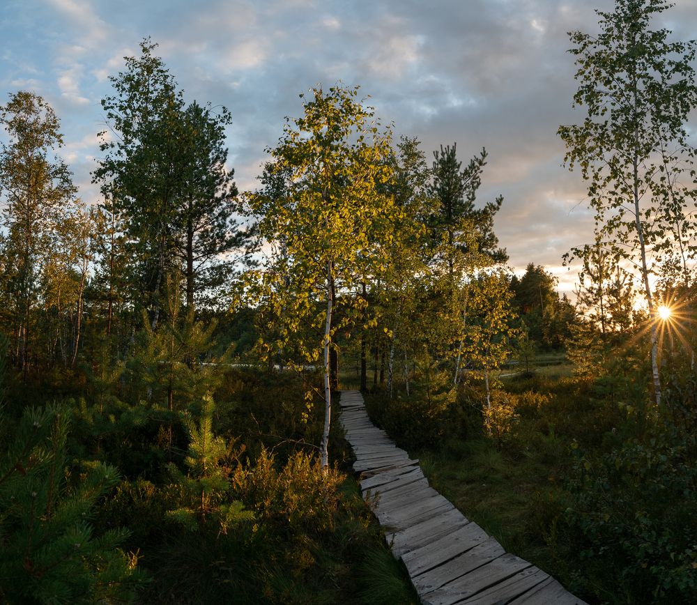 Photograph by Максим