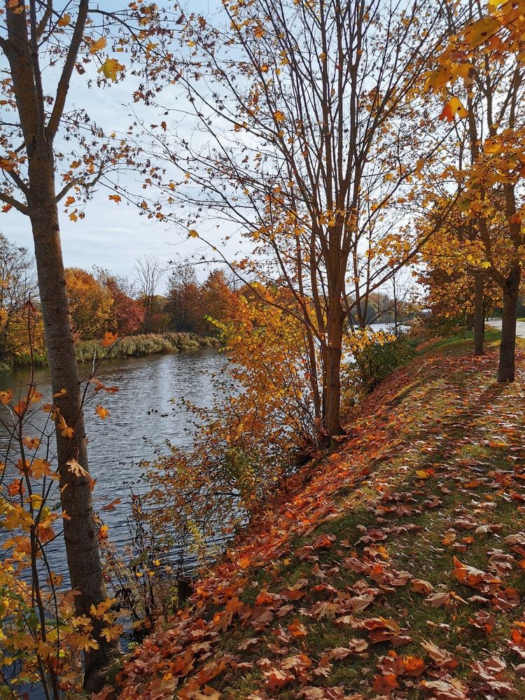 Photograph by Raitis Miksons