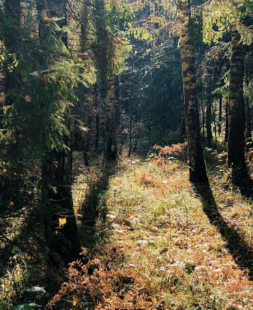 Photograph by Марина Георгиева