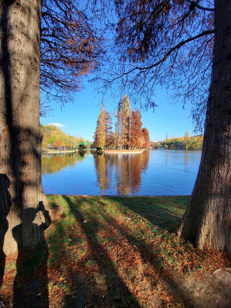 Photograph by Alexandru Manaf