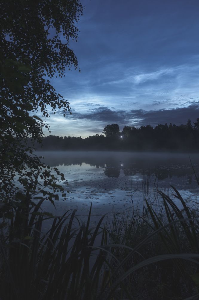 Photograph by Елизавета Белоусова