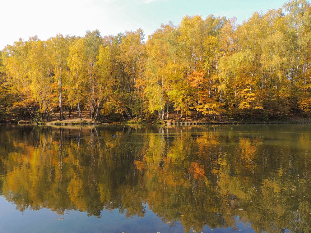 Photograph by Валентина Кваскова