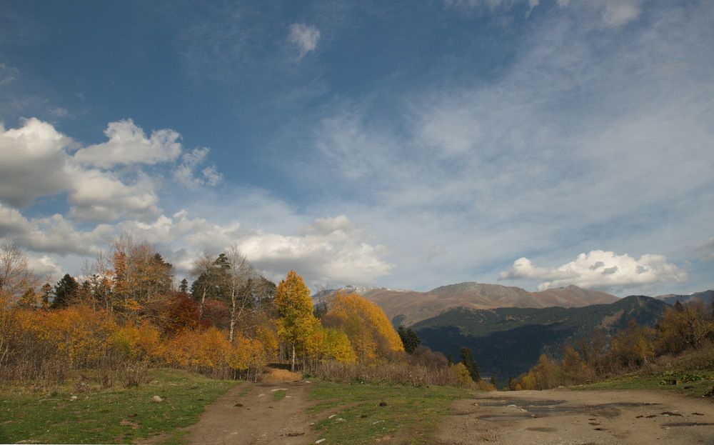 Фотография автора Медведев Сергей
