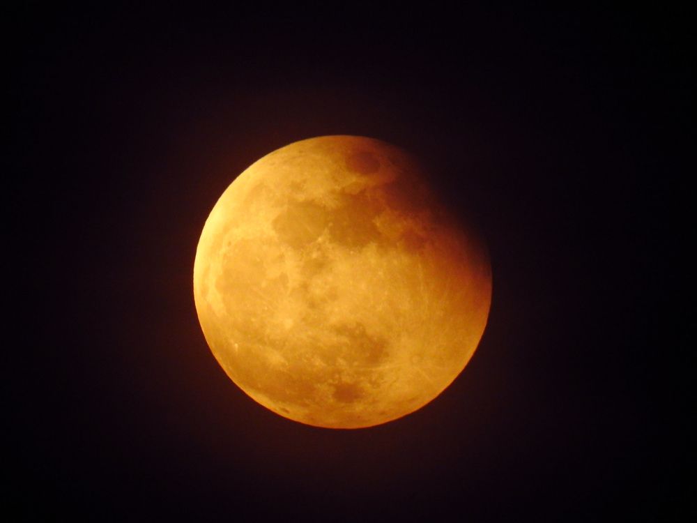 Photograph by Ranjith Kumar