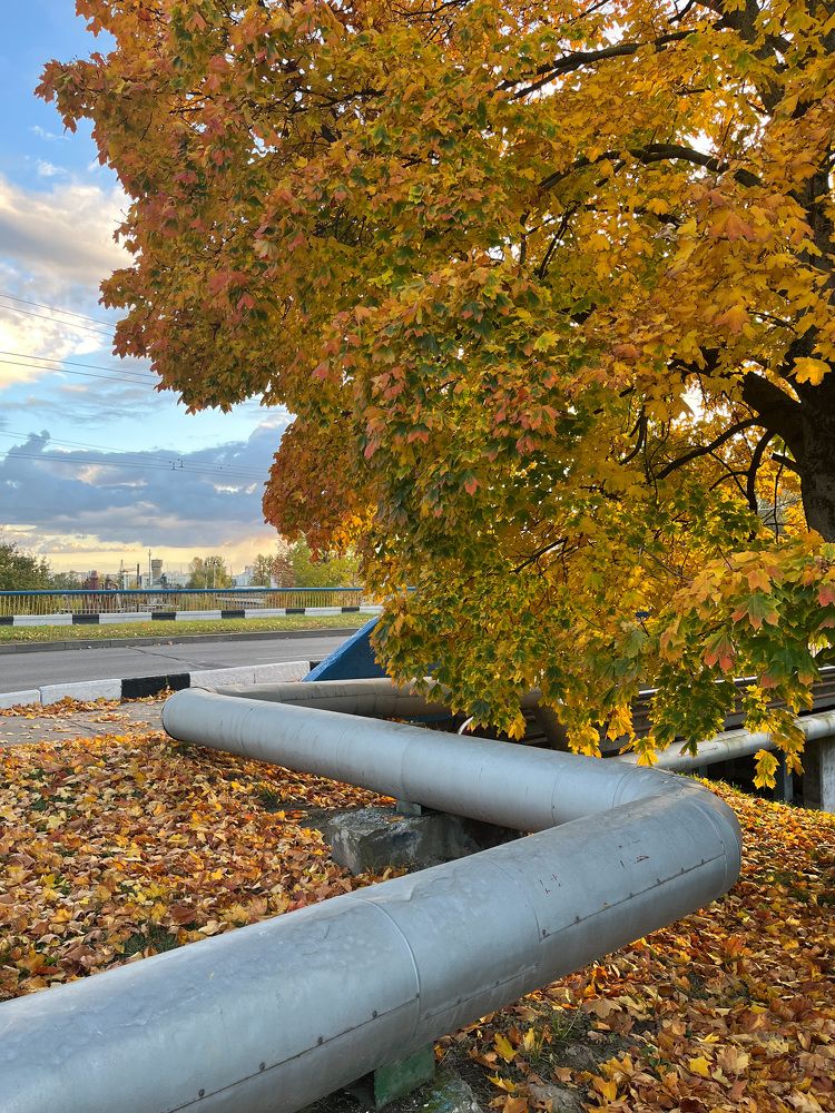 Фотография автора Katia Buiko