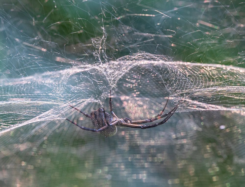 Photograph by Ranjith Kumar