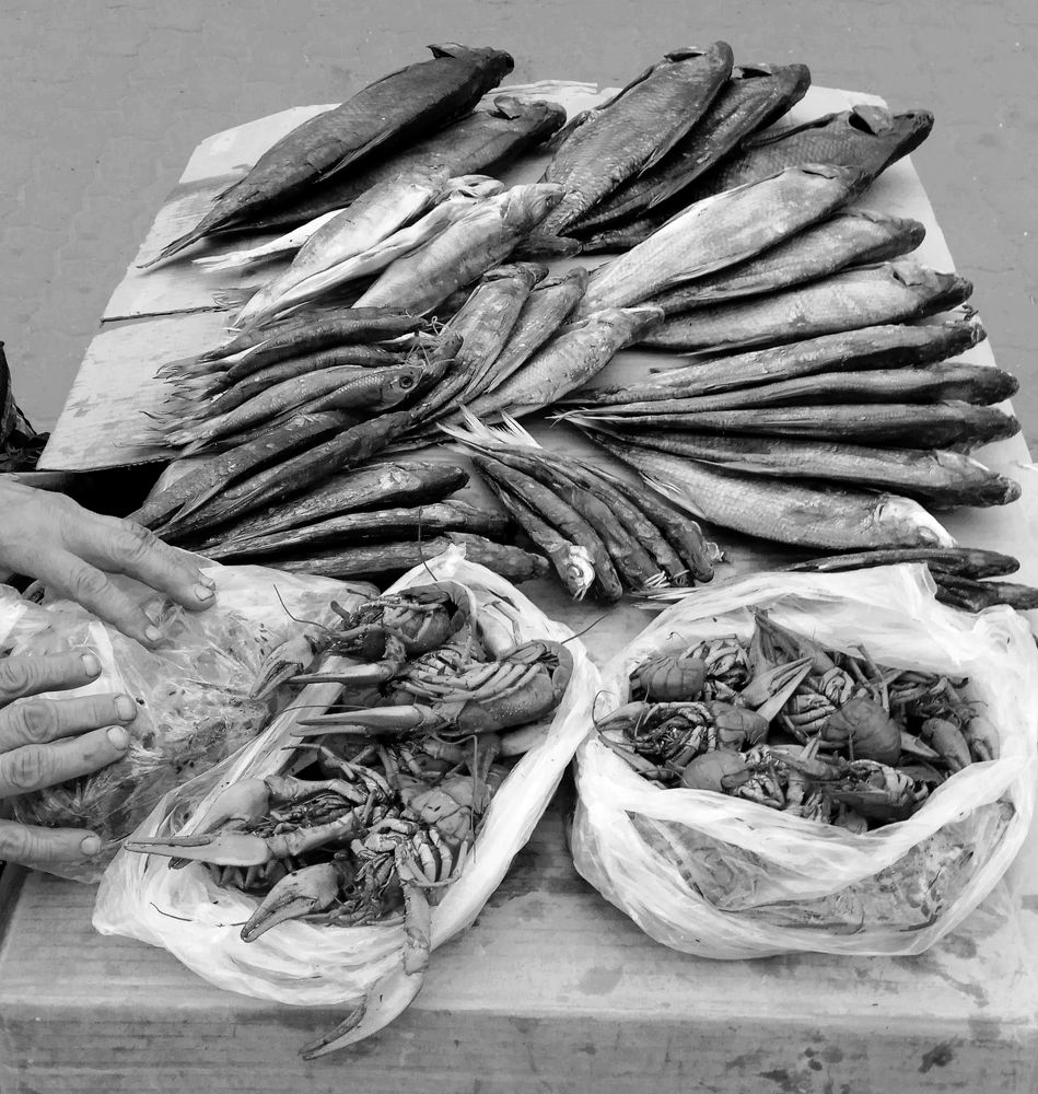 Фотография автора Николай Пугаев