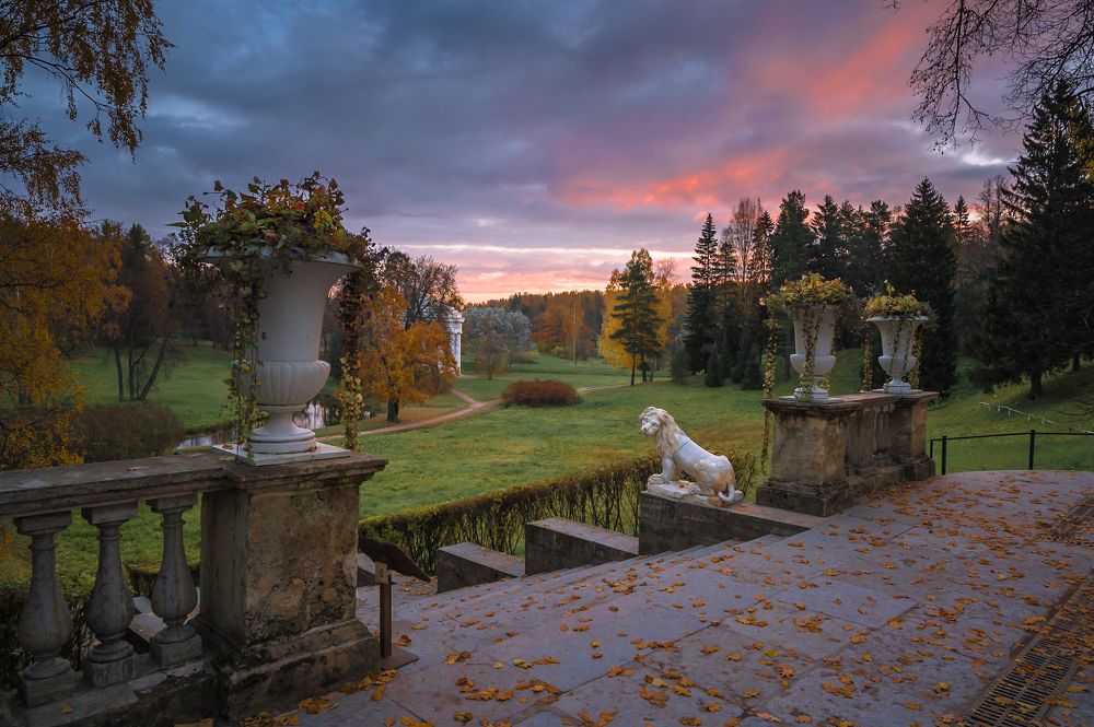 Львы Павловского парка.