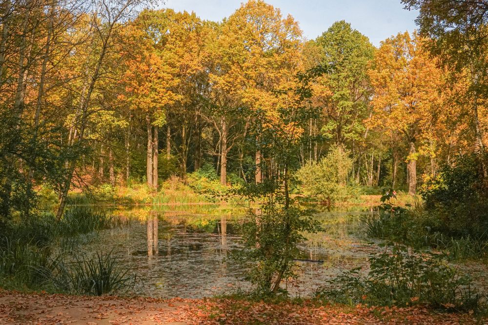 Photograph by Елена Никонова