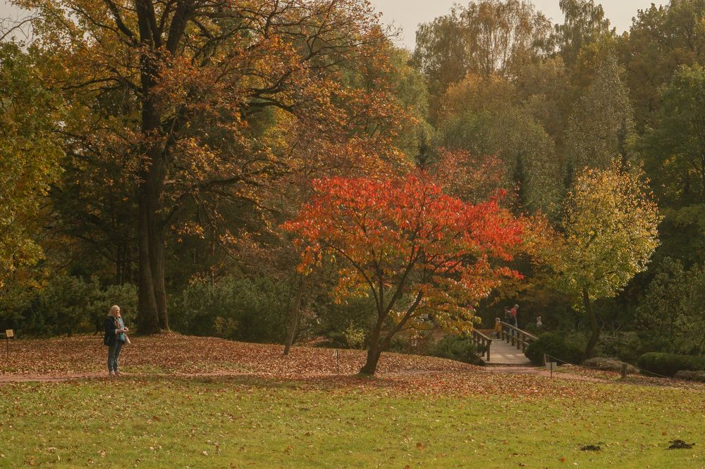 Photograph by Елена Никонова