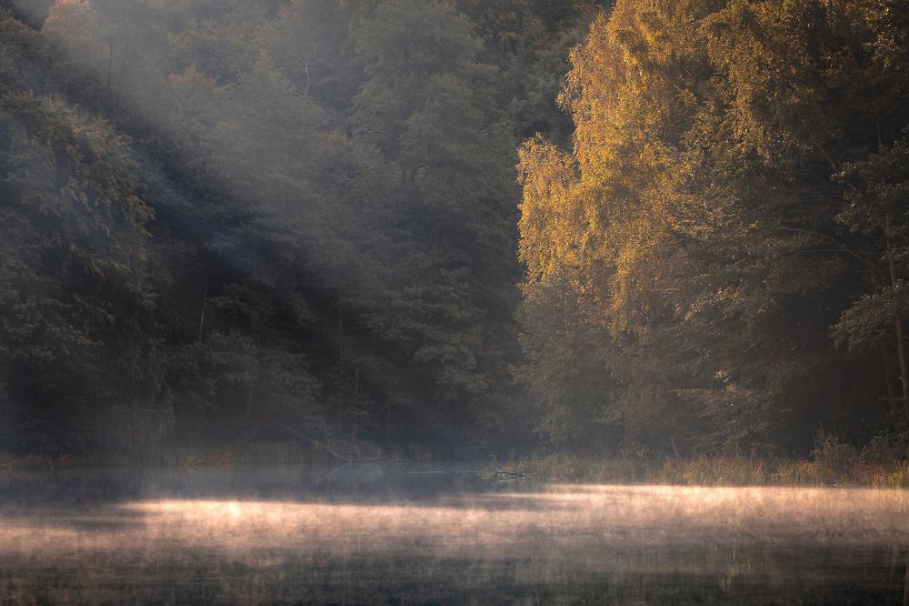 Photograph by Wiktor Kulesa