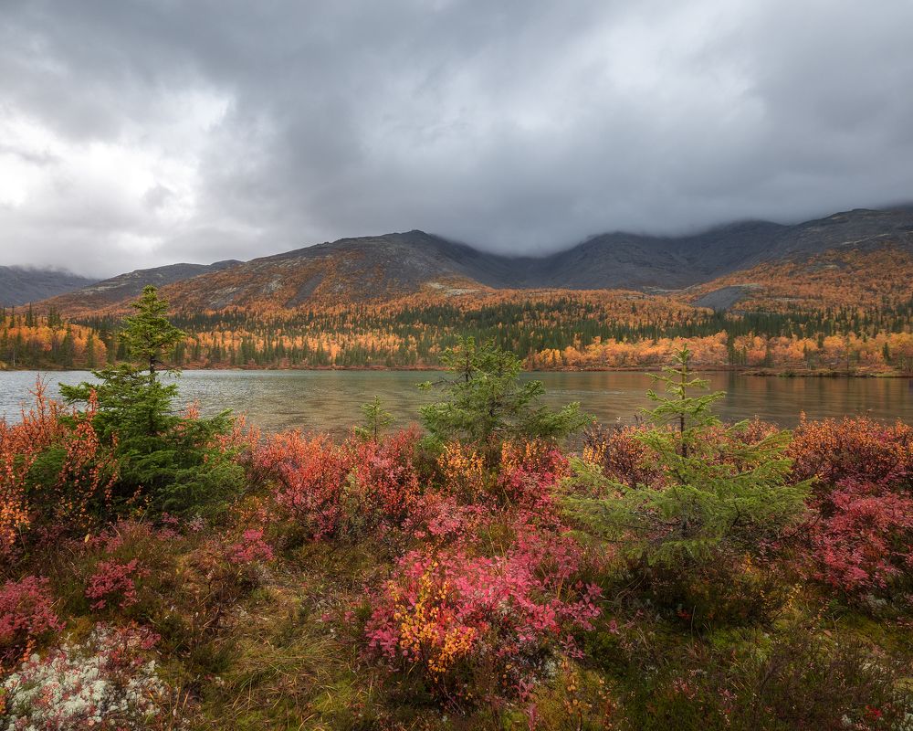 Photograph by Татьяна Рунова