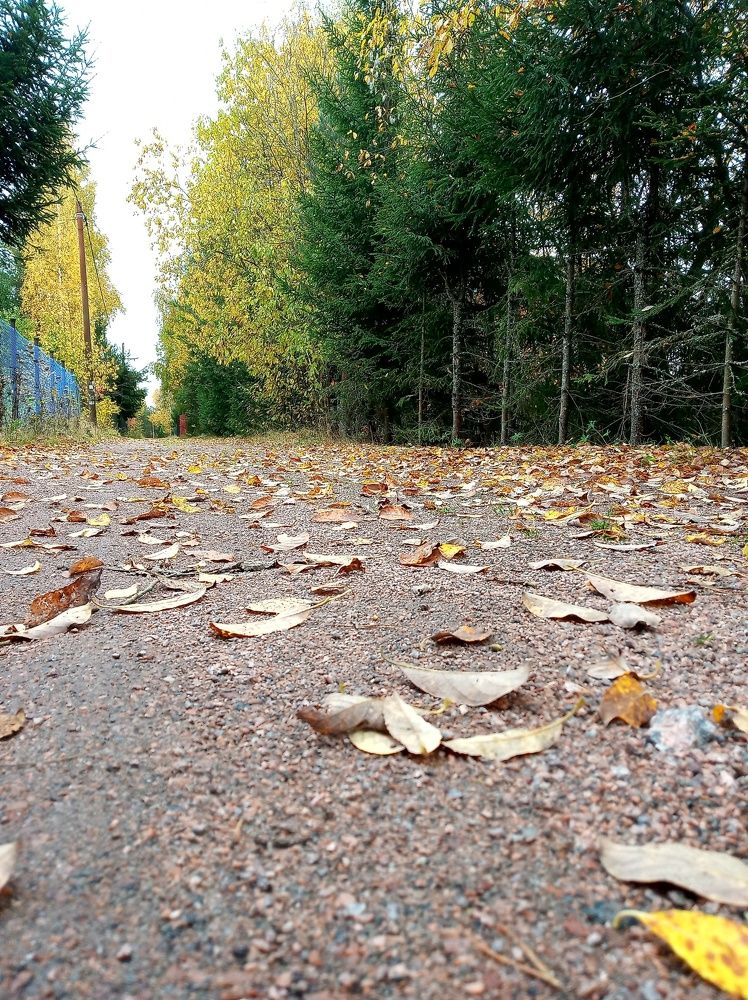 Фотография автора Ольга Малкова