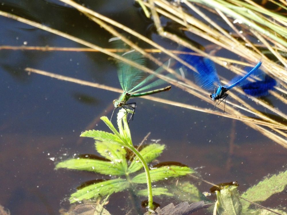 Photograph by Сергей Александрович