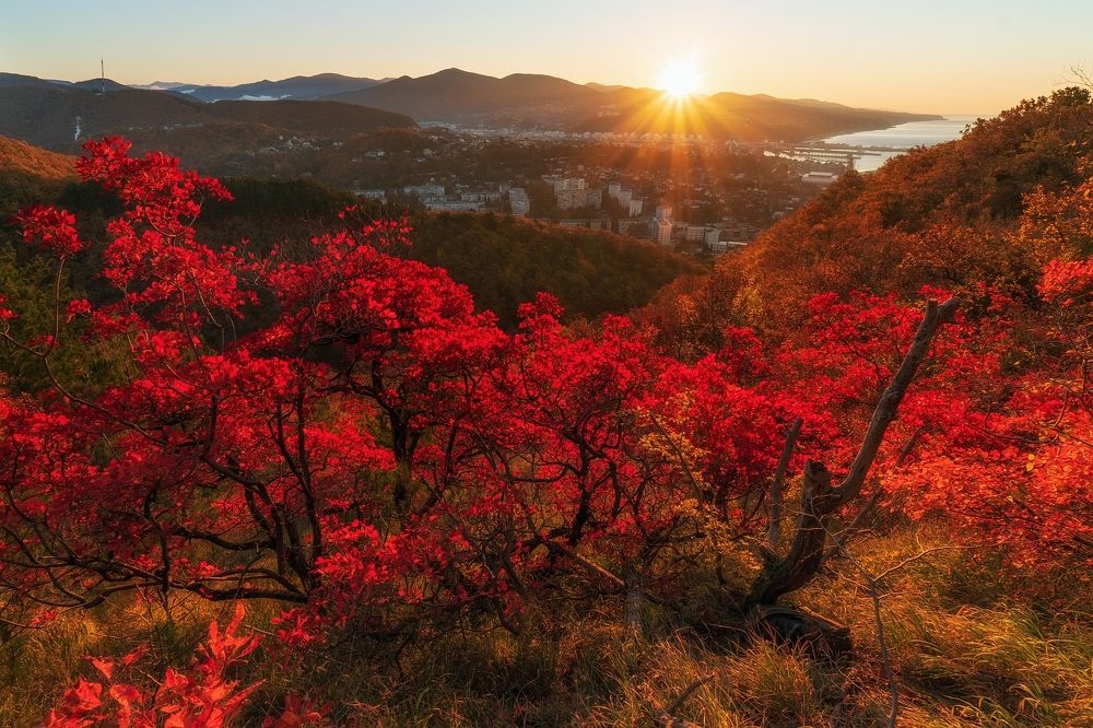 Photograph by Васин Сергей