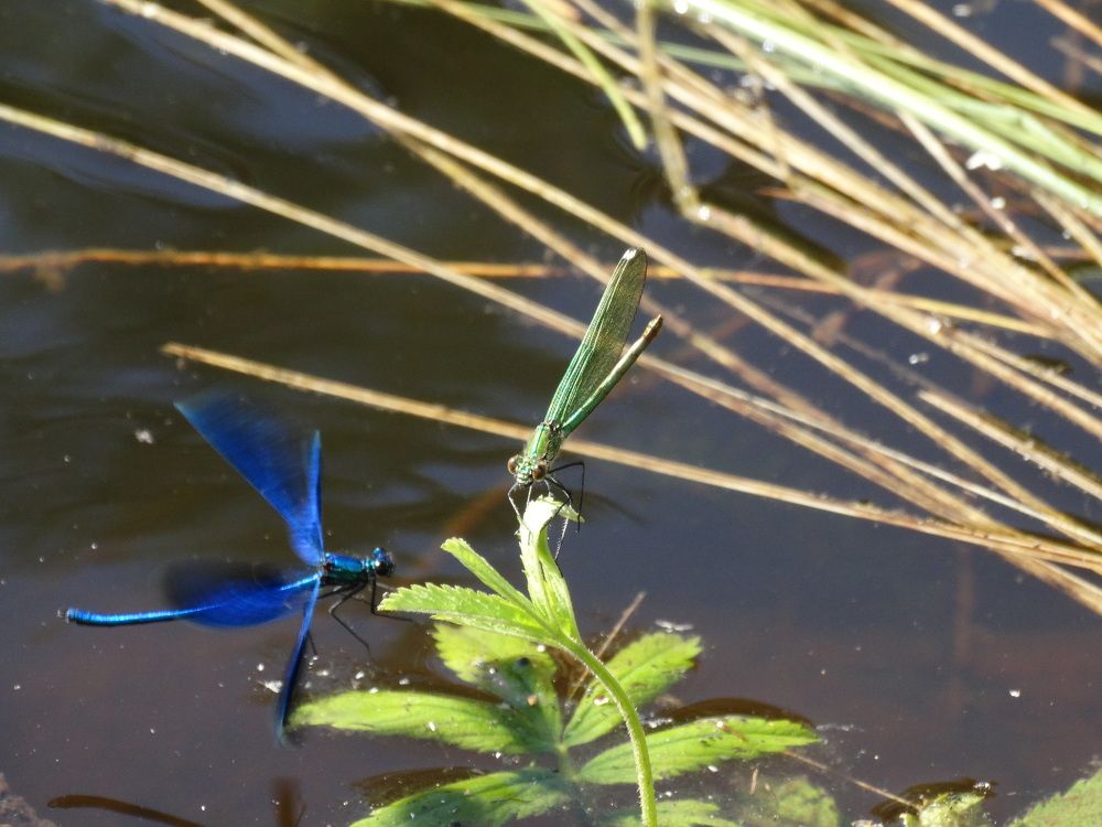 Photograph by Сергей Александрович